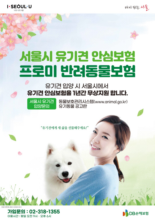 DB손해보험은 유기견 입양 활성화를 위해 참여한 '2021년 서울시 유기동물 안심보험 지원사업'에 최종 사업자로 선정돼 지난 16일부터 해당 사업을 시작했다고 27일 밝혔다./제공=DB손해보험